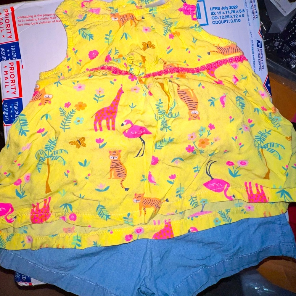 Carter’s Tank & Short Outfit